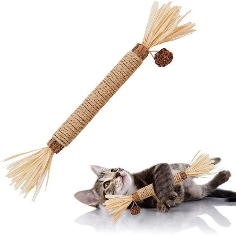 Pet Catnip Molar Stick, auxilia na limpeza dos dentes, diversão e higiene, pet amor animal.