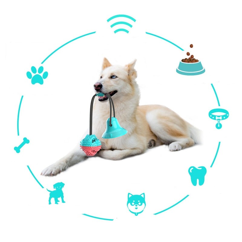 Ventosa de silicone com bola, brinquedo interativa para cães, auxilia na limpeza de dentes, pet amor animal.