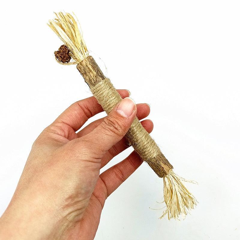 Pet Catnip Molar Stick, auxilia na limpeza dos dentes, diversão e higiene, pet amor animal.