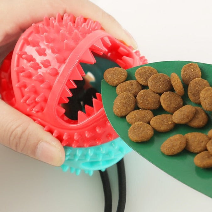 Ventosa de silicone com bola, brinquedo interativa para cães, auxilia na limpeza de dentes, pet amor animal.
