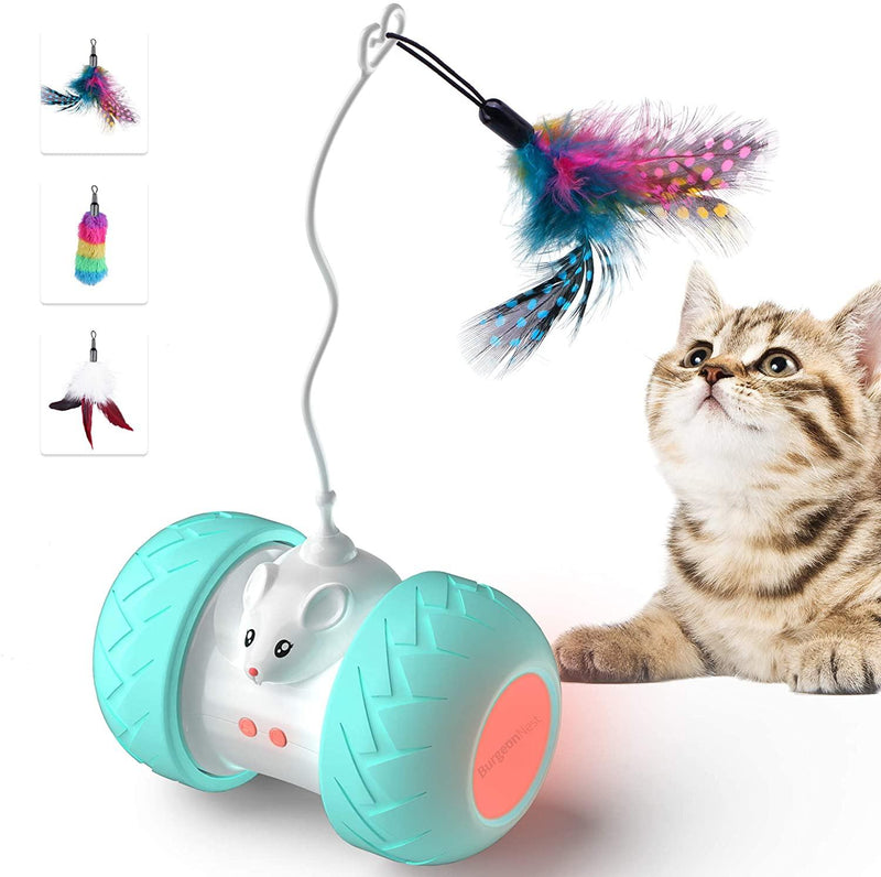 Brinquedo interativos para gatos em ambientes fechados, eletrônico com mouse e penas, seu amor pet.